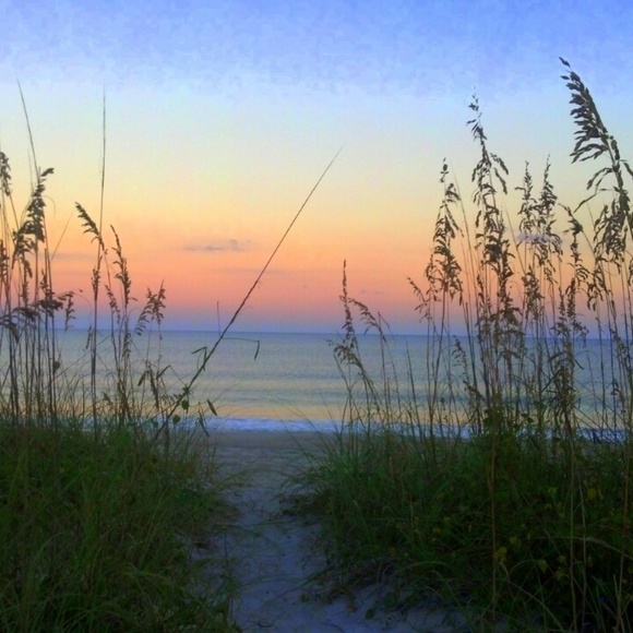 Meet your Posher, Courtney - Picture 4 of 6